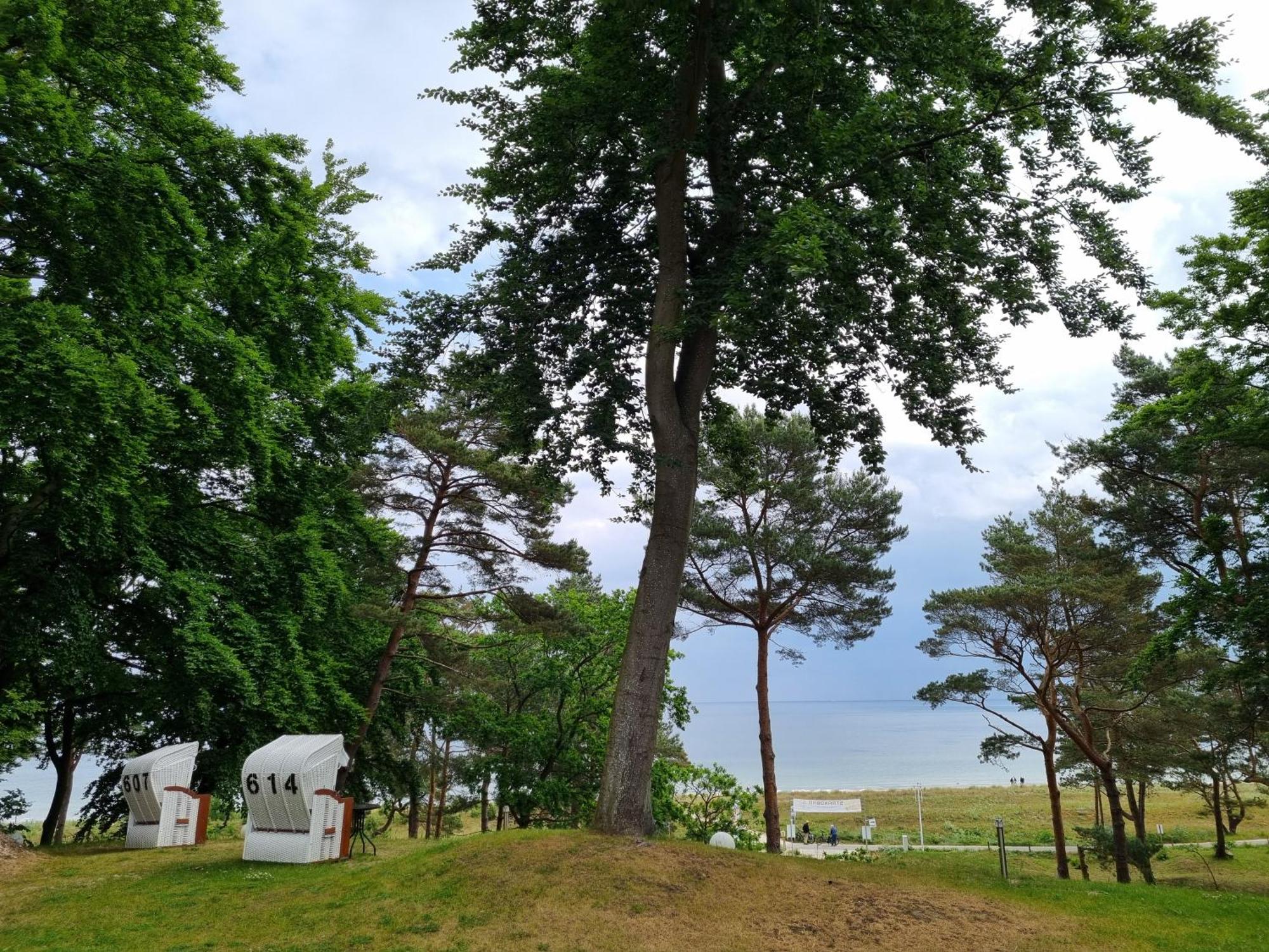 Strandhotel Lindequist ゼリン エクステリア 写真